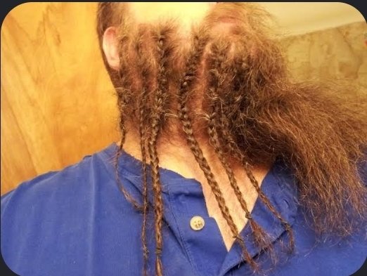 Alpha_Psionic's tweet photo. Why in the fuck is this a thing!? #WhiteManCornrows #Beards #CornrowBeard https://t.co/u9HJDsiCmm