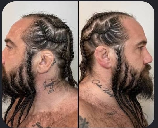 Alpha_Psionic's tweet photo. Why in the fuck is this a thing!? #WhiteManCornrows #Beards #CornrowBeard https://t.co/u9HJDsiCmm