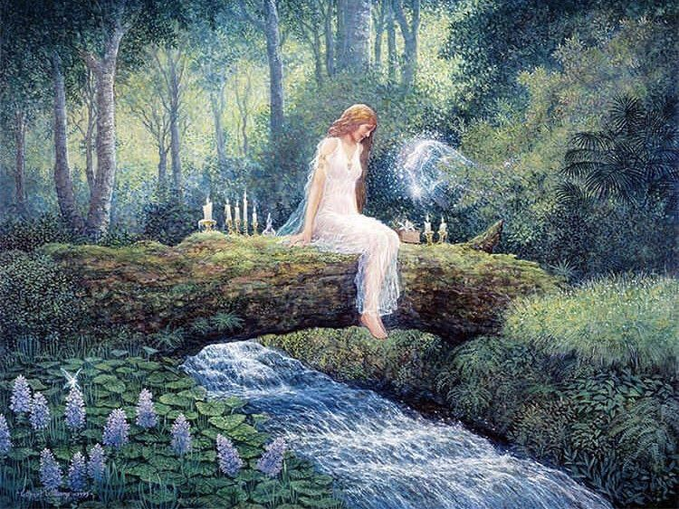 DKAstrology's tweet photo. 😳🤨Biologists are now saying that trees are social beings, they are sentient and they can count (!), learn and hold memory. 
They help and nurse other sick trees and plants, sending electric signals across fungal networks,  and keep long failed companions alive for centuries  by feeding them w sugary solutions thru vast root systems. 
Trees are much more than what we think they are,  in many cultures forest bathing is a thing and it has healing properties. 
Moving close to nature is the way to go to heal  inside and out. FOREST = FOR REST🍄🪾