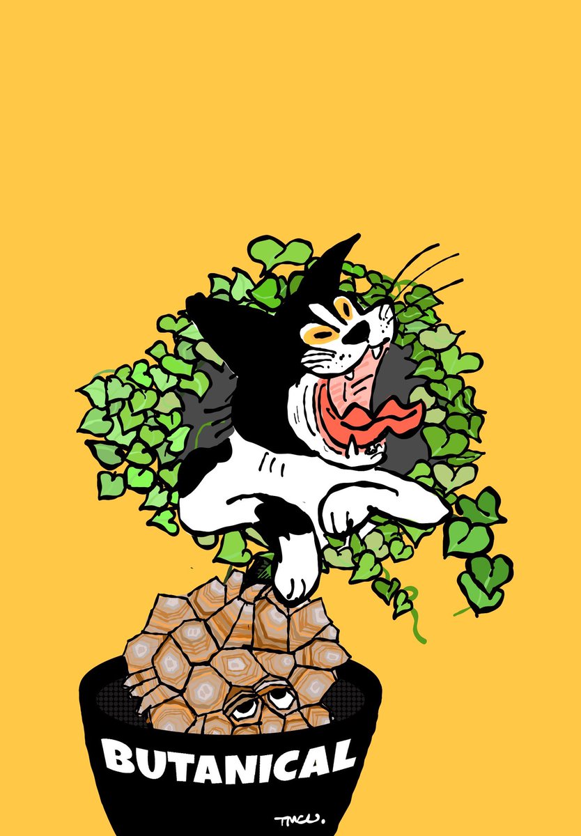 hacocolle's tweet photo. 眠い亀甲竜とおおあくびのろくやん

どっちも眠そうやん

#イラスト
#ねこ
#塊根
#ねこと植物
#tomococo https://t.co/XSV2cjkxSC