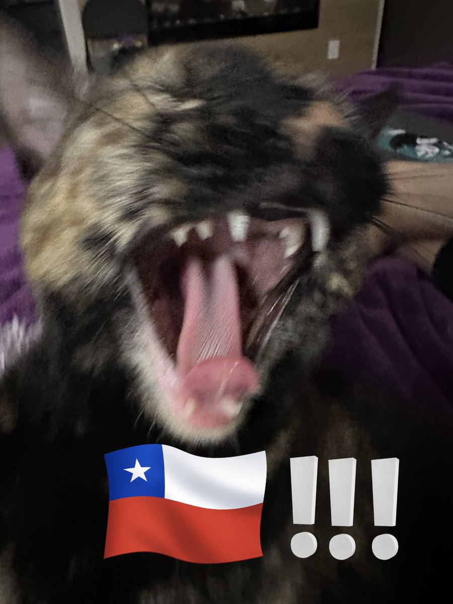 JuliannaContr18's tweet photo. @antooorchaa ANTO QUE WEA EN QUE MOMENTO, CTM LO LOGRAMOS 
VIVA CHILE MIERDA UYUUUUI https://t.co/tOW8ZEsnMe