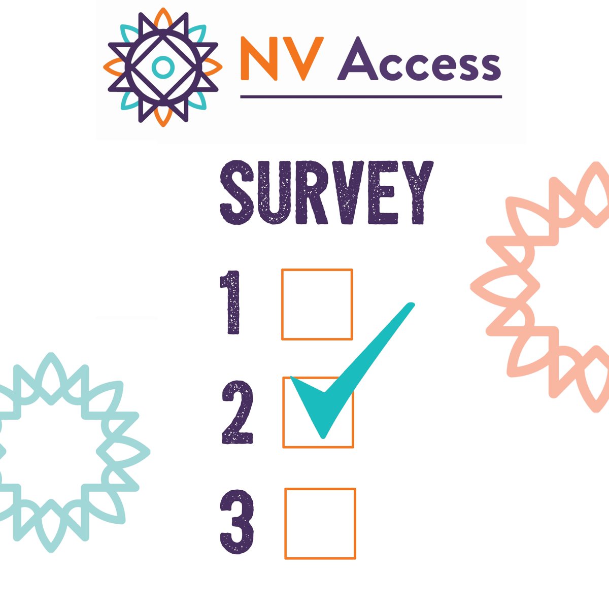 NVAccess tweet picture