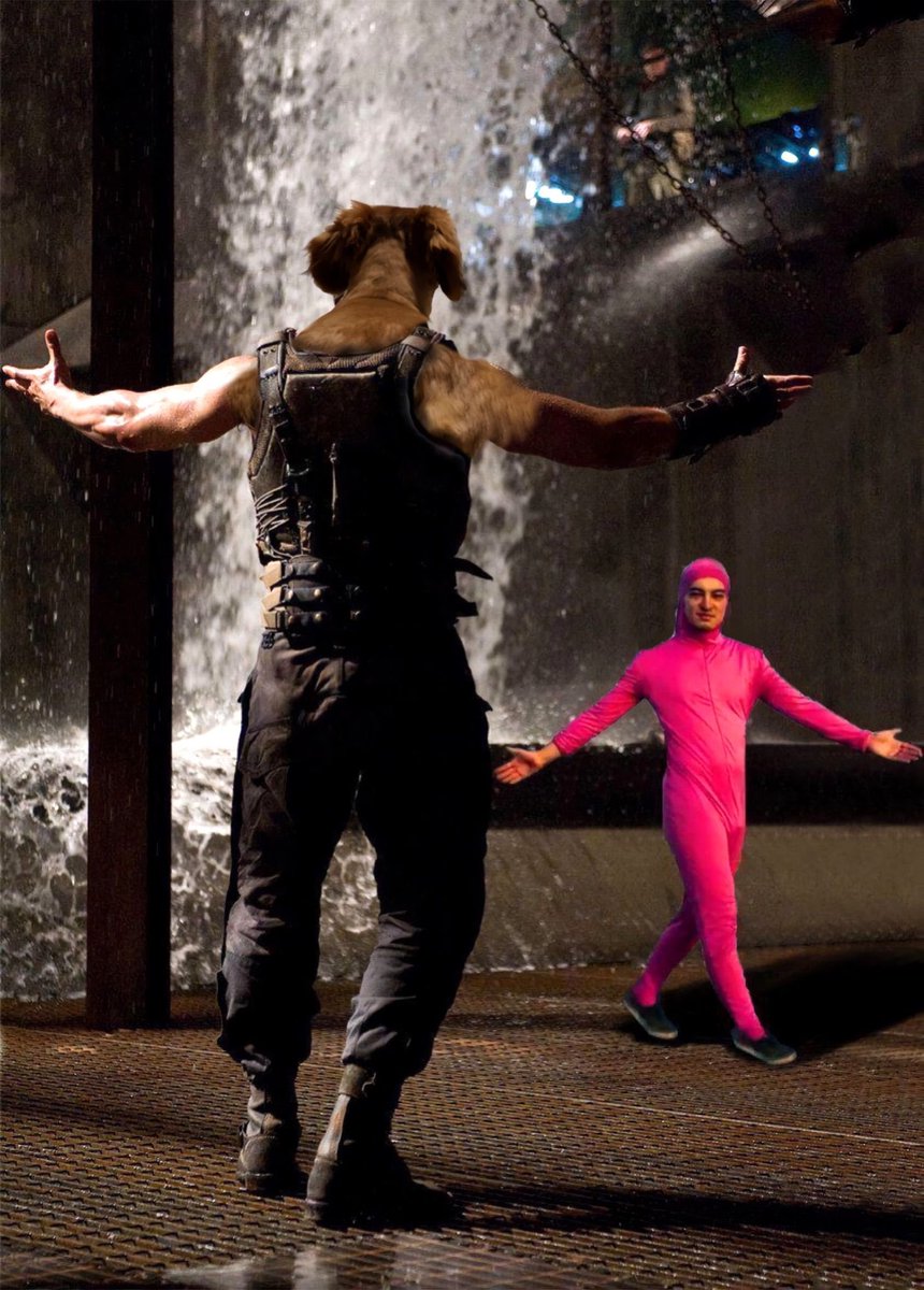 pumpeddog's tweet photo. pumped dog stays on jester timing. https://t.co/81ujlyPfGy