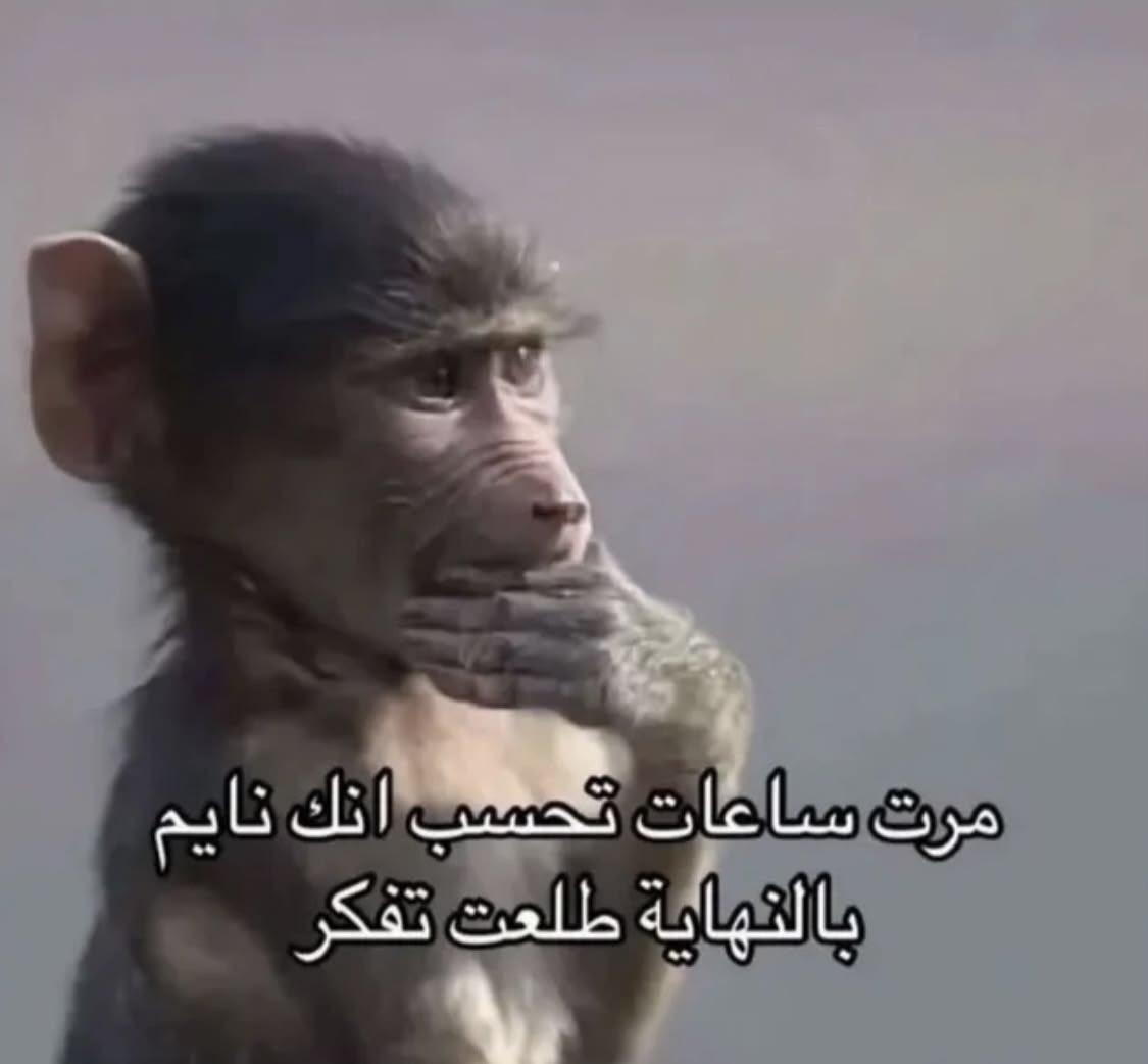 PP44K's tweet photo. حصل قبل شوي https://t.co/uW1k63MUdJ