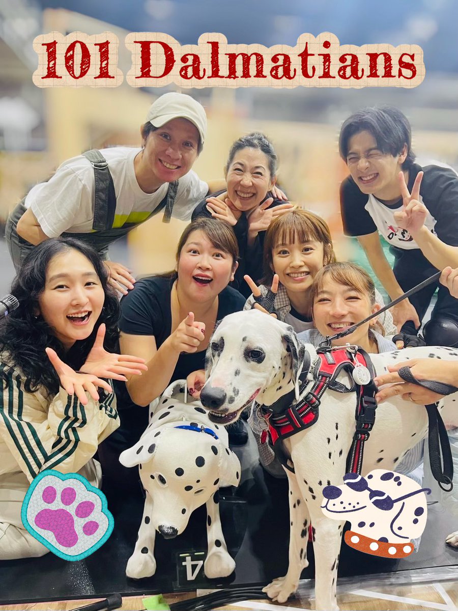 almahix's tweet photo. #101ダルメシアンズ　のリハーサルをリアルダルメシアンのザダル君が覗きに来てくれました❣️

稽古場が一気にメロメロに😍

パペットにも興味津々！仲間と思ってくれたのか芝居中の私達の鳴き声と共に声を上げてくれたり‼️

本物のザダル君のように愛すべきワンちゃんになれるよう精進あるのみ！ https://t.co/6CpTurjIMl