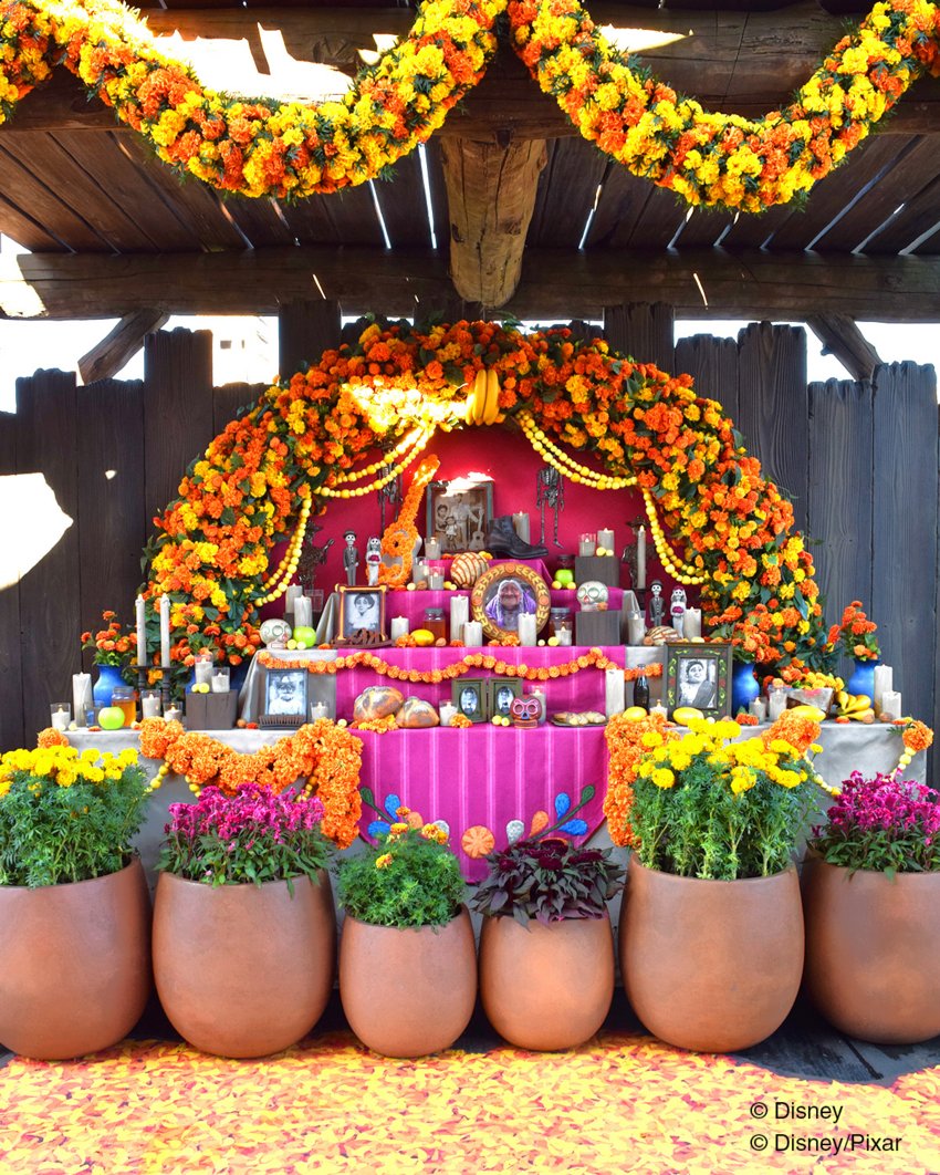 TDR_PR's tweet photo. 東京ディズニーランド®と東京ディズニーシー®では、「ディズニー・ハロウィーン」が本日9月16日から開催🎶

さらに東京ディズニーシーのロストリバーデルタでは、ディズニー＆ピクサー映画『リメンバー・ミー』の世界をテーマとした「ラソス・デ・ラ・ファミリア」も始まりました✨

くわしくはこちら🎃
https://t.co/UKr6bbdOTw