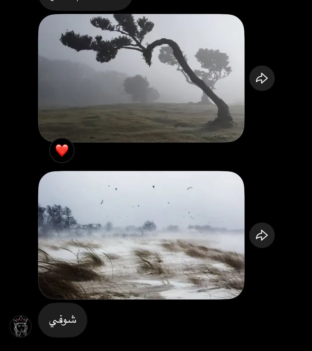 sesssim's tweet photo. قالت لي ارسمها عشان الصوره عجبتها now its everywhere https://t.co/JZK4LFqo62