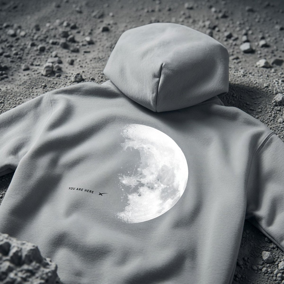 SpaceX's tweet photo. You Are Here Collection