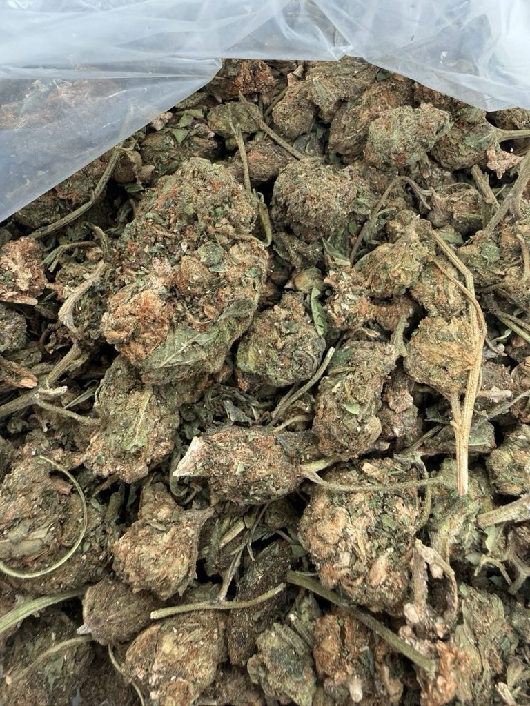 snowswis's tweet photo. Toowoomba, weed Townsville, weed Cairns, weed Mackay, weed Rockhampton, weed Bundaberg, weed Launceston, weed Albury, weed Wagga Wagga, weed Coffs Harbour, weed Port Macquarie 
Telegram: icemanbuds https://t.co/6f8ycYCwzy