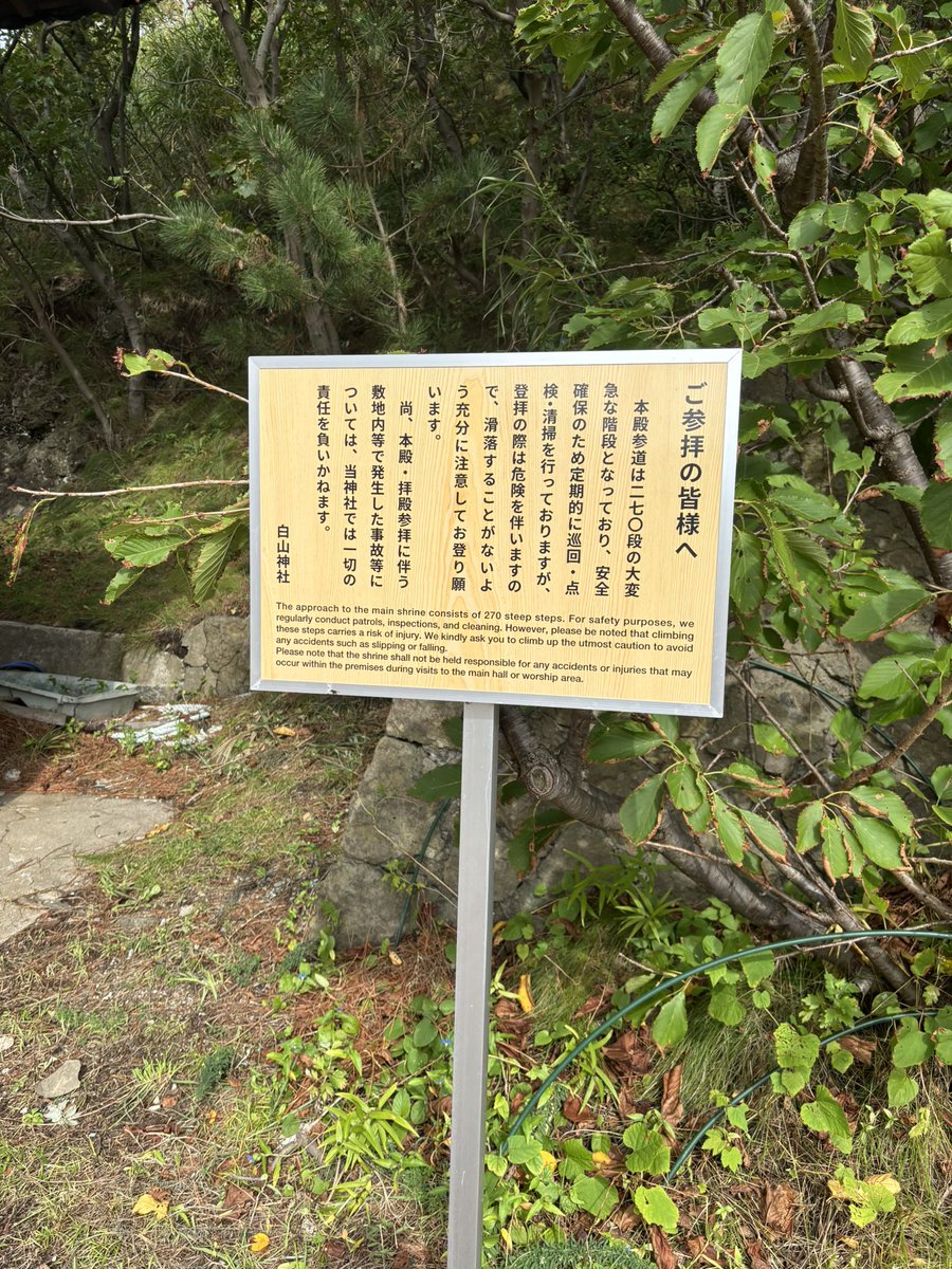 bradewarks's tweet photo. 冒険の先で待ち受けたのは羽黒山でのダメージで足がガクガク状態の自分への更なる試練…
見上げても先の見えない急勾配な石段。
息も絶え絶え足もプルプル震えながらなんとか参拝し終えました…
降りるのがめっちゃ怖かった… https://t.co/YEIMtyLY0j