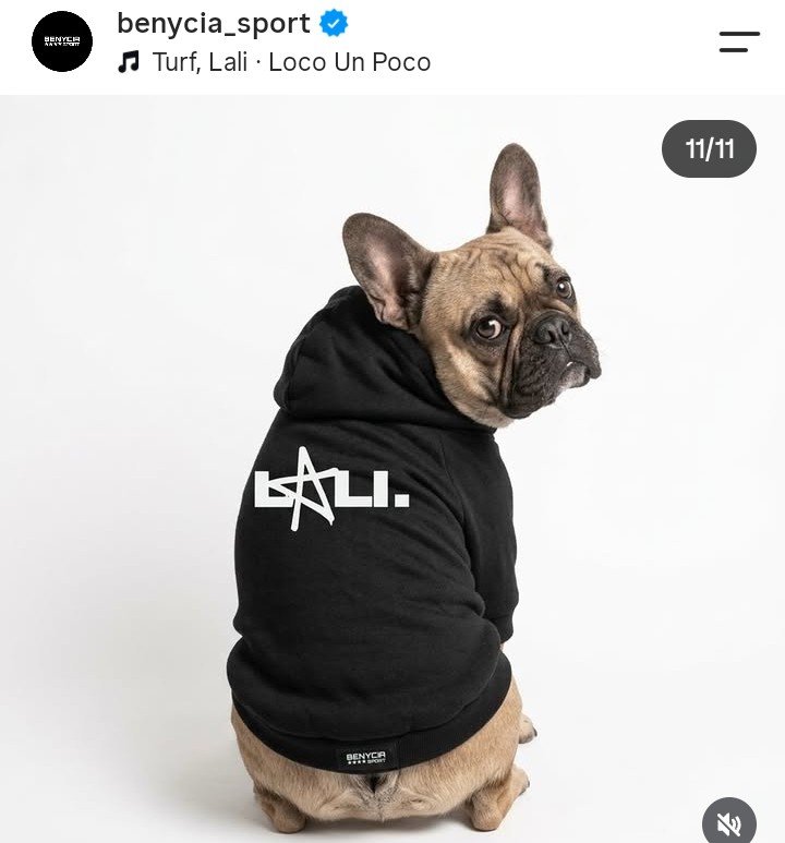 Mariam_lae91's tweet photo. @brillaespos @lalioficial Para completar su outfit jajajaja https://t.co/CMtQCY4Kvw
