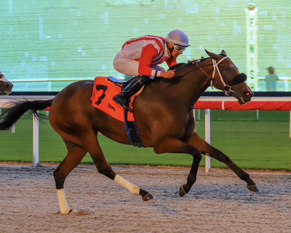 JFDAngelo's tweet photo. Oxar • Leonel Reyes • Jose Francisco D’Angelo 

#GulfstreamPark | #SunshineMeet | #HorseRacing https://t.co/7Y5Hrk2WB3