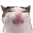 peepoJaiden's tweet photo. new Firefox update makes everything rounded https://t.co/r673AGjb34