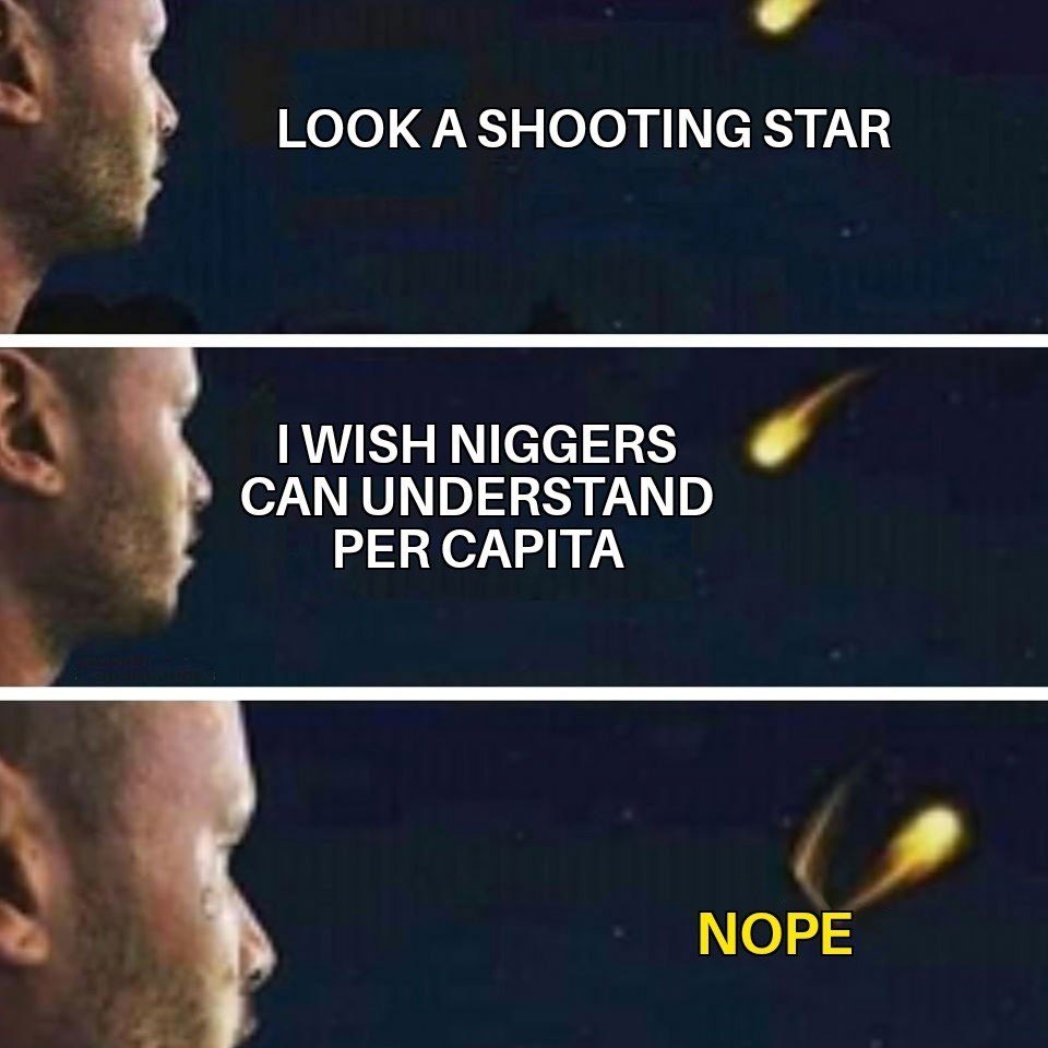 sonnenchad88's tweet photo. You can’t teach an old nigger new tricks https://t.co/0kGUmUaIkF