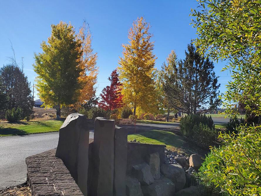 WendyClark541's tweet photo. Vacant land for sale! There's so many things you can do with it. #Land #RealEstate https://t.co/HNRop1E5bN