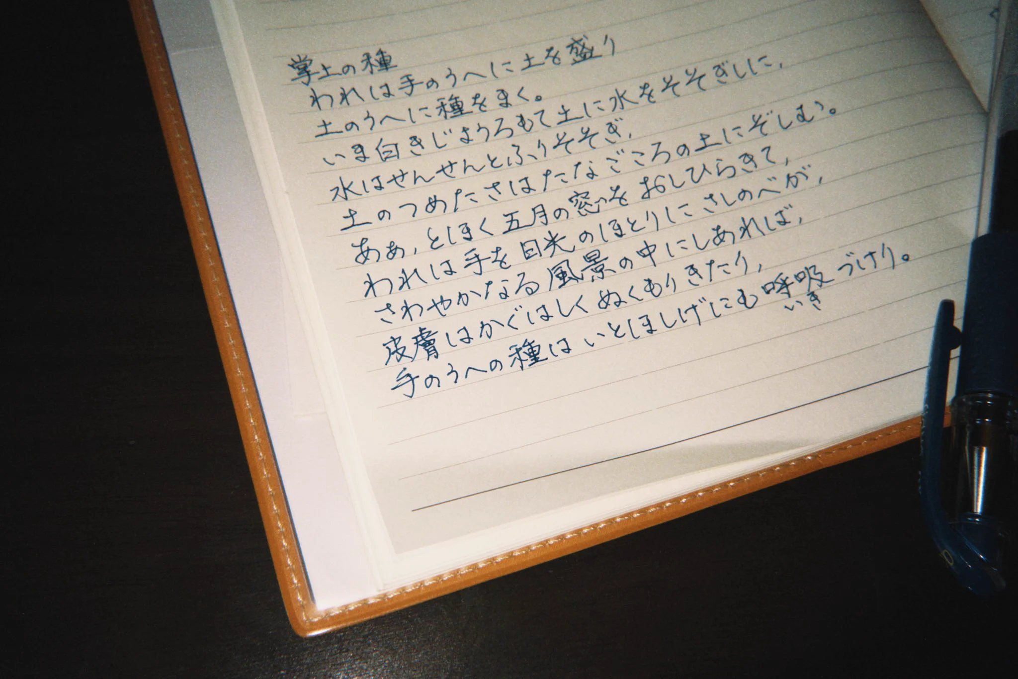 萩原朔太郎　色紙　肉筆 萩原朔太郎 色紙 肉筆 萩原朔太郎書簡額 / 萩原朔太郎 | Natsume Books