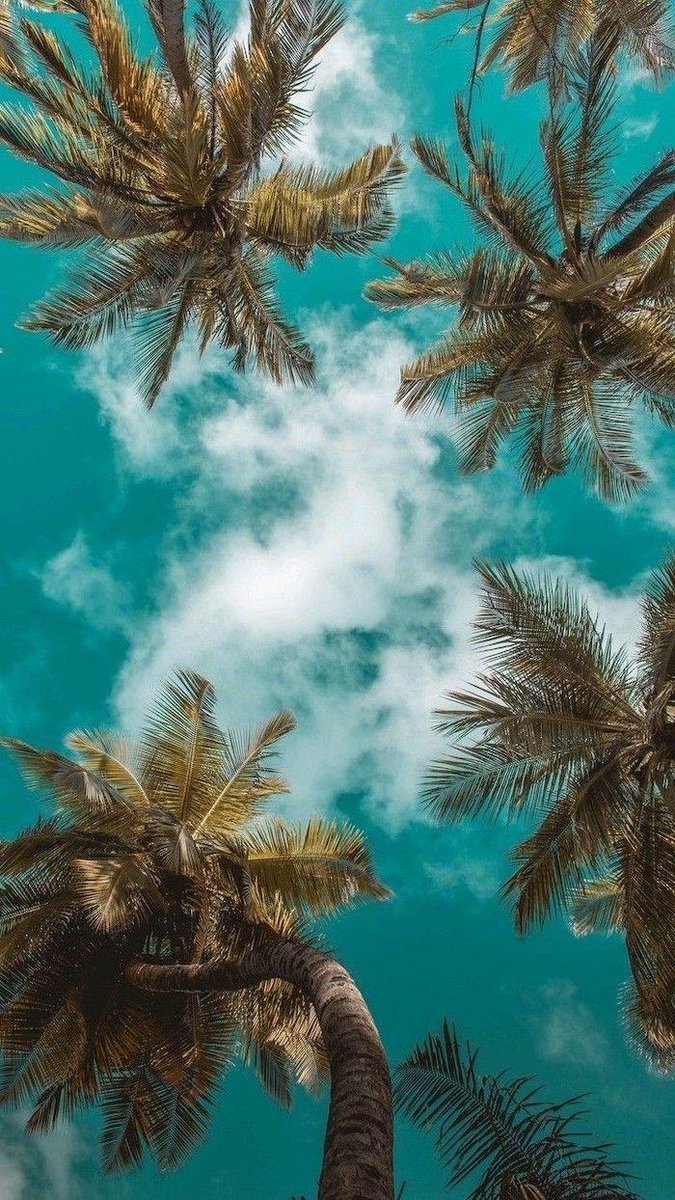 LaylaYoungvlu's tweet photo. ¿—Quieres salir de los tiempos de oscuridad en los que se encuentra este mundo?Juan 12:44-46 https://t.co/wXOPyMSajW