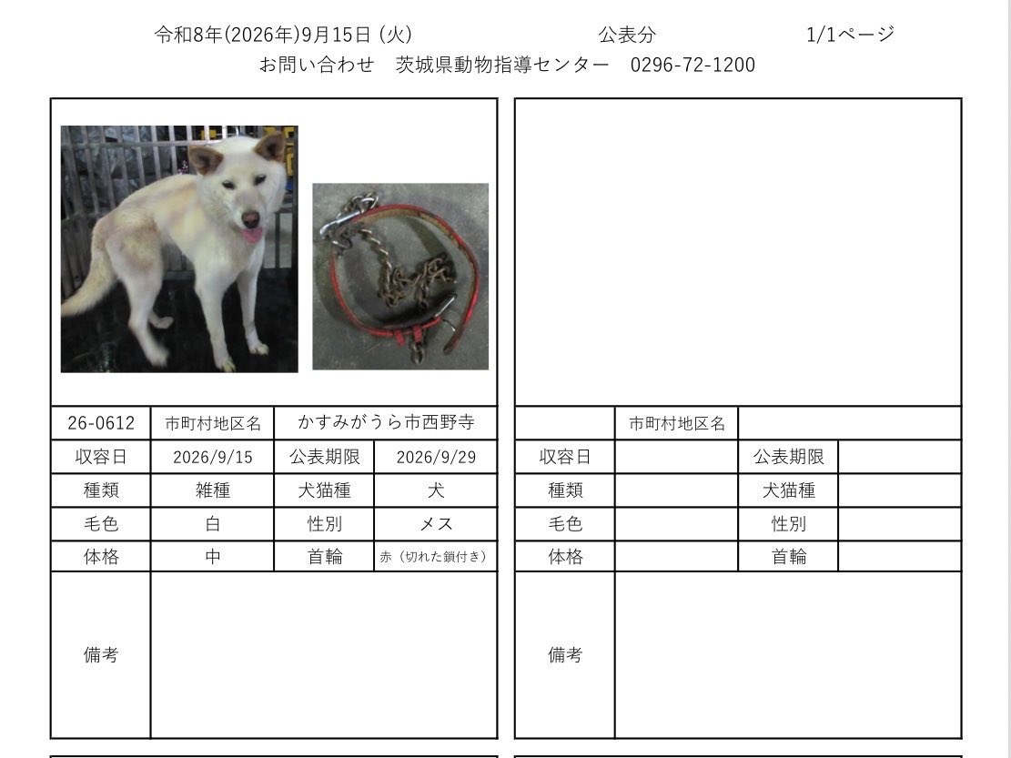 IBARAKI_Animal's tweet photo. 茨城県動物指導センターで保護している、迷子の犬猫の公表情報です。🐕🐈
お心当たりの飼い主様は動物指導センターにお電話ください‼️
動物指導センター
☎︎0296-72-1200(受付時間：平日8:30〜17:15)

9月15日（火）公表情報 https://t.co/JIbbfmpvla