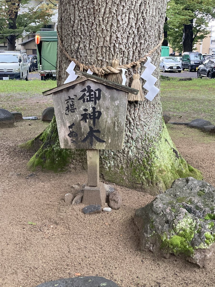 tukuyomi1207's tweet photo. 六椹八幡宮⛩️その2
御神木の椹の樹。
元は6本の樹があったそうです。６つの椹の樹で六椹というお話しを巫女さんに聞きました。
お若い方でしたが物凄い達筆で綺麗な御朱印を頂きました🤩
そして、父が入院したばかりなので病気平癒をお願い致しました。
#山形市
#六椹八幡宮
#御朱印 https://t.co/qmOMALwg1n