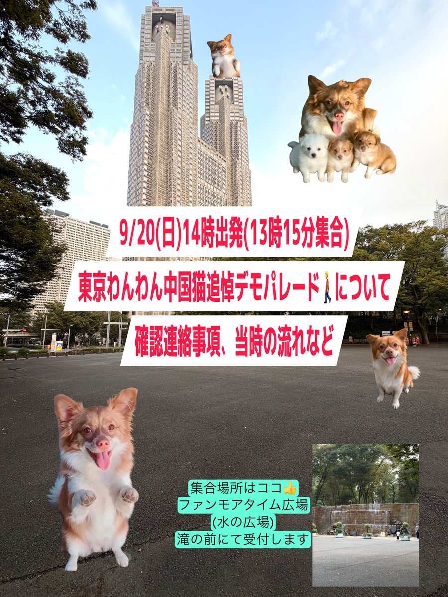 dignityofanimal's tweet photo. いよいよ、9/20(日)に予定しております東京新宿デモパレードまであと4日となりました。本日9/16現在、683名の方に参加申込をいただいております🙇700人越えになる模様💦
大変遅くなりましたが🙏
集合時間、場所、持ち物、当日の流れ、連絡事項など、まとめてお伝えさせて頂きます🙇

🟢集合時間
13時15分　※時間厳守
この度、参加者多数で皆様に並んで頂くにも時間を要するため、お時間になりましたら、説明等始めさせて頂きます。時間厳守にてお願いします🙇

🟢集合場所
新宿中央公園　ファンモアタイム広場
(旧　水の広場)
東京都新宿区西新宿2-11

《交通アクセス》電車でお越しの場合
JR・小田急線・京王線　新宿駅から徒歩約10分
東京メトロ丸の内線　西新宿駅から徒歩約5分
都営大江戸線　都庁前駅A5出口から徒歩0分

※新宿駅から来られる方は、都庁を目指してお越しください。第一庁舎と道路を挟んだ向かいに公園入口があります。

※園内は広く、滝(水が流れる塀)が目印です。「ファンモアタイム」は新しい呼び名で、以前は「水の広場」です。
※滝の前にて受けつけさせていただきます。

🟢持ち物
⭐️基本手ぶらでOK🙆
(主催の方で若干の用意がございます)
⚫︎パネル(中国犬猫虐待反対の啓発用パネルをお持ちの方)
⚫︎袋(チラシ持ち帰り用)
⚫︎飲み物など

🟢服装
自由(歩きやすい靴)
※追悼と言っても法要や慰霊祭ではありません。犠牲者達を忘れず、私達人間にできることをやって行こうという啓発活動になります。

🟢当日の流れ
⚫︎受付(滝の前)にて来られた方からチラシとコールの紙をお渡しさせて頂きます。
犬肉輸入反対署名にご協力頂ける方はお願いします
⚫︎13時15分　集合
①主催者代表挨拶
②本部長　挨拶
Feline Guardians Japan 本部長
③ゲスト紹介
④デモの説明、注意事項
⑤コール、太鼓隊の説明(練習)
⑤実際に並んでブロック分け
※大きく２つのグループに分かれます。
その中で100名づつのブロックに分かれ、ブロックごとに固まって歩きコールを行っていきます。
第1〜第3ブロックまでが第一グループ、
第3〜第6ブロックまでが第二グループ
となります。

⚫︎14時 PRカー、デモ隊第一グループ出発
　　　デモ隊第二グループ出発
⚫︎15時半　デモ隊戻り
　写真撮影、終了の挨拶、連絡事項
　解散

🟢デモルートと所要時間
(状況により急な変更もあり。警察の指示に従う)
①ファンモアタイム広場から出て右折
②公園通りをまっすぐ南下
③西新宿3丁目交差点を左折
④甲州街道沿いを東へ進む
⑤新宿4丁目交差点を左折
⑥明治通りを北へ進む
⑦新宿5丁目交差点を左折
⑧靖国通りを西へ進む
⑨新都心歩道橋下交差点を左折
10.東京モード学園手前を右折
11.北通りを進む
12.新宿中央公園北口から公園内へ
(解散)
※出発地点に戻っていただける方、終了の挨拶やご連絡をさせて頂き、集合写真を撮らせて頂きます。
※はじめ西新宿抜けるまではオフィス街で人通り少ないですが、その後かなり増えます。帰りは西新宿に入ると最後まで人通り少なくなります。

《所要時間》
1時間20分位(状況次第)

🟢その他
⚫︎少雨決行、雨天中止(延期)とさせて頂きます。雨の場合、当日朝8時に判断し告知させてます。
⚫︎当日何か分からないことがあれば、わんわんの腕章をつけているスタッフにお声がけください。
⚫︎原則、デモパレード途中での出入りは危険ですので控えて頂きたいですが、具合悪くなった場合は無理せず、車に十分気をつけてデモ隊から抜けて休んでください。
⚫︎特定の人種，国籍等を理由としたヘイト行為はおやめください。
⚫︎野次を飛ばされたり、絡まれたりしても相手にしないでください。危険を感じたら、すぐに警察署員(同行しています)に声をかけてください。

🔴主催
Feline Guardians Japan 東京中央支部
📍インスタアカウント
@tokyo.central_fg_japan

🟢協力支部
⚫︎Feline Guardians Japan 東京西部支部
⚫︎Feline Guardians Japan 東京南多摩支部
⚫︎Feline Guardians Japan 長崎支部

🟢協力・協賛
Rikako Fukumoto さん
インスタ　@xx_rkf_xx 

🟢協力・後援
⚫︎Feline  Guardians  Japan
@FGuardiansJapan 

《運営スタッフ(連絡先)》
⚫︎@oZvcXoRBxXimfRc
⚫︎@kurotamami
⚫︎@Sea_381
⚫︎(統括)@dignityofanimal 
ほか
ボランティアスタッフ、
Feline Guardians Japan Tokyo Central 有志

✳️wangwang アクションセット
⭐️ご自宅のプリンターから印刷できます　
https://t.co/WwF9qmXbOF
