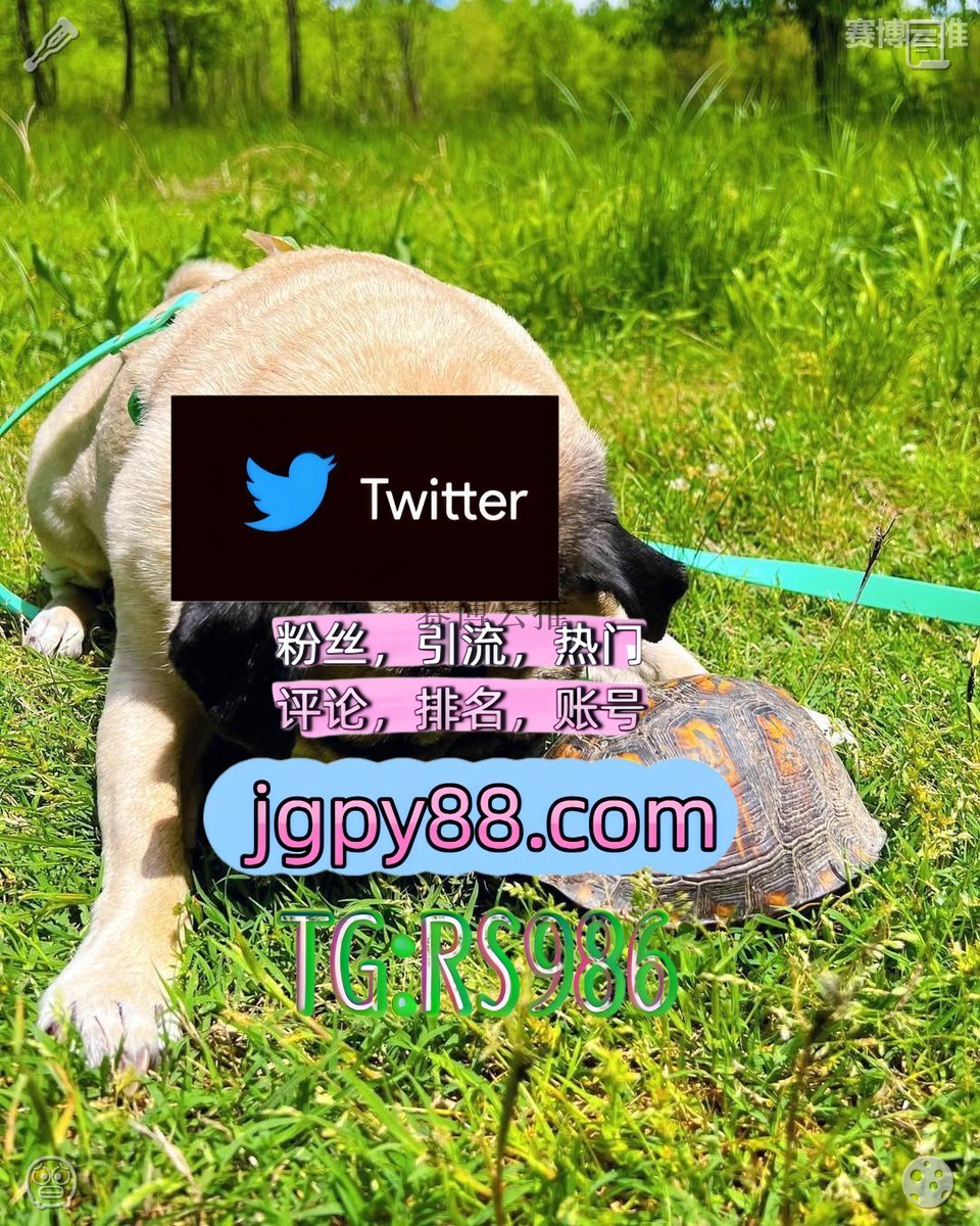 nathycl1's tweet photo. 把生活的苦酿成甜把日子过得有滋有味👅
推特账号购买海外流量、品牌推广、社媒营销 
评论截流🎉股票代码🌟辅助工具🔥品牌增长👍 推特矩阵管理、营销自动化、内容运营 阿拉尔排名号
霸屏🪐群发私信💐海外获客🍀寿光博兴 批量发帖、多账号管理、推广营销
推特矩阵系统、Twitter矩阵系统、X矩阵系统 https://t.co/B9XdQF50SF