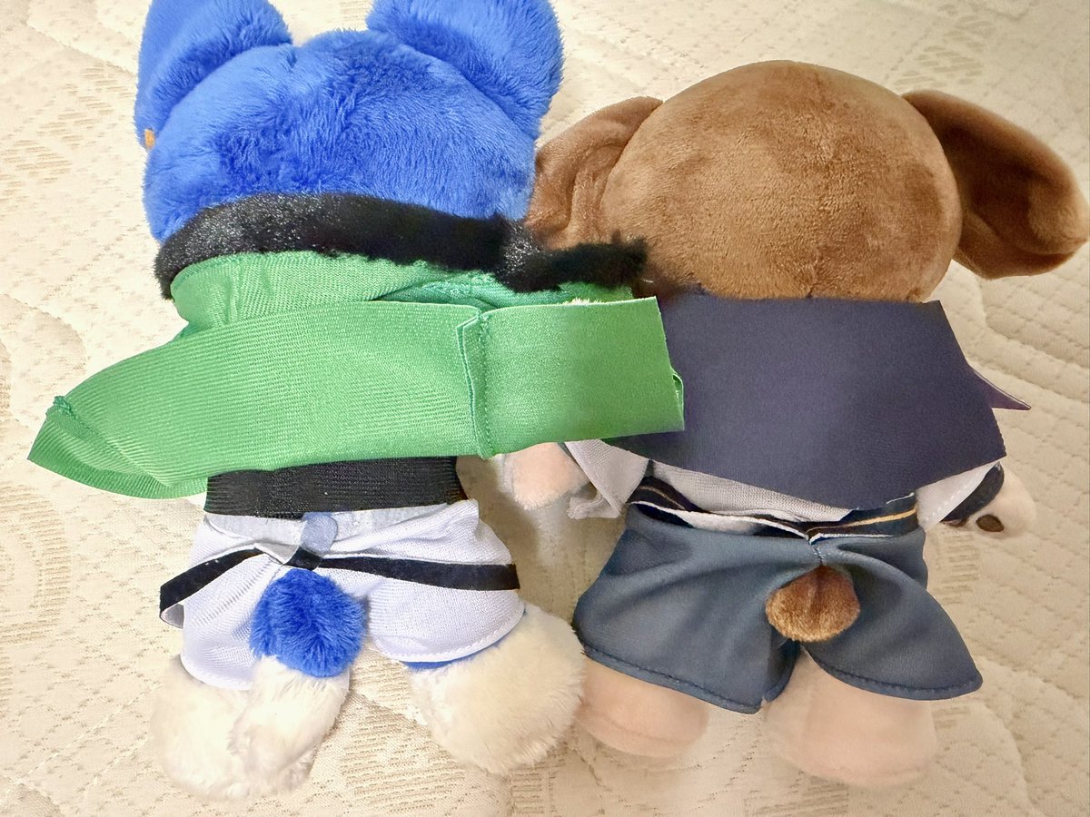 nando_dage's tweet photo. 📚🐶、このこ服着てる状態の時丸まって畳まれてたの可愛すぎるが
帝幻で並べた時のしっぽの大きさの違い、、、𝙘𝙪𝙩𝙚 https://t.co/iuhwe255Yi