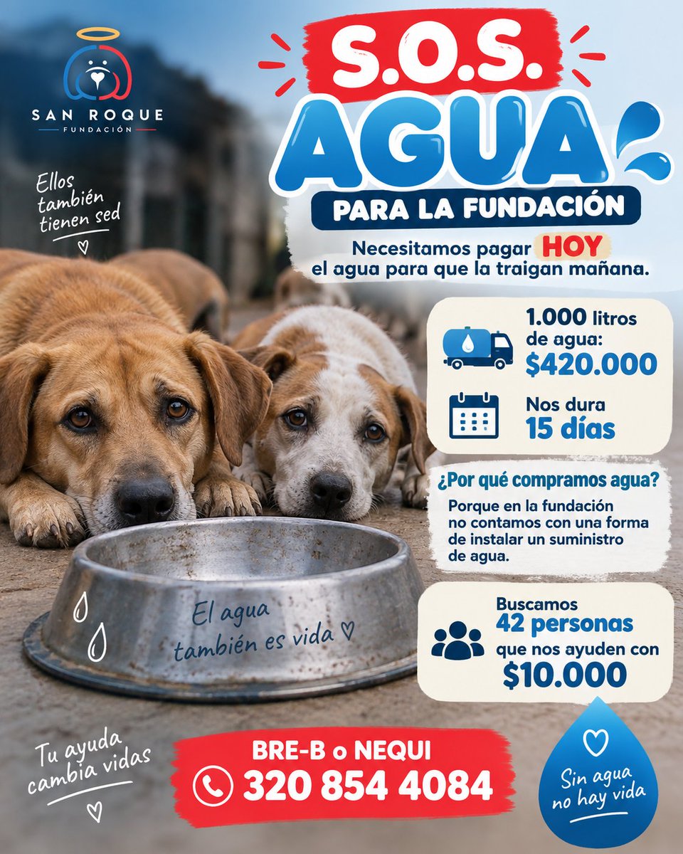 FundacionLucila's tweet photo. 🚨 S.O.S. AGUA PARA LA FUNDACIÓN 💧🐾

Necesitamos pagar HOY el agua para que puedan traérnosla mañana.

💧 1.000 litros de agua: $420.000
⏳ Nos alcanza aproximadamente para 15 días.

¿Por qué compramos el agua?
Porque en la fundación no contamos con una forma de instalar un suministro de agua, así que debemos comprarla para garantizar el agua que necesitan nuestros animales.

🙏🏼 Buscamos 42 personas que nos ayuden con $10.000.

Cada aporte nos acerca a completar esta necesidad básica y urgente. ❤️

📲 BRE-B o NEQUI:
320 854 4084

Si puedes ayudarnos, hazlo hoy.
El agua no puede esperar. 💧🐶🐱
