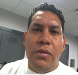 BillMelugin_'s tweet photo. NEW: ICE confirms to @FoxNews they've carried out a five-day operation in the state of Indiana that netted 426 arrests of illegal aliens. Most of the operation focused on the Indianapolis metro area, though arrests were made throughout the entire state, and ICE received significant cooperation from local law enforcement.  ICE says rap sheets of those arrested include sex crimes, assault and battery, domestic assault, drug trafficking, assault with a dangerous weapon, other weapons crimes, fraud, Identity theft, burglary, property damage, driving while intoxicated, public order crimes and more.

ICE statement to FOX:

“Over the course of this five-day operation, ICE officers, in coordination with state and local law enforcement partners, arrested 426 illegal alien offenders across Indiana, including individuals with criminal histories involving sex crimes, assault, domestic violence, drug trafficking, weapons offenses and more. This operation underscores the fact that when law enforcement agencies cooperate, the American people are safer. We thank our state and local partners for their support and continued commitment to protecting communities across Indiana and the nation.”
