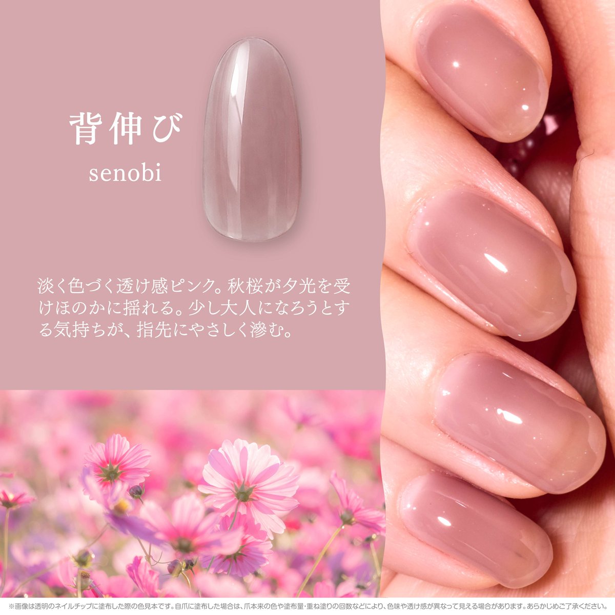 GeleebyNail's tweet photo. https://t.co/luWqq3xEoc