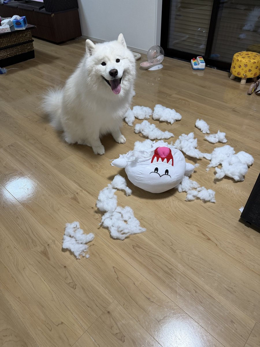 kohaku_Samoyed's tweet photo. あああああッ https://t.co/96yF6pfaKe