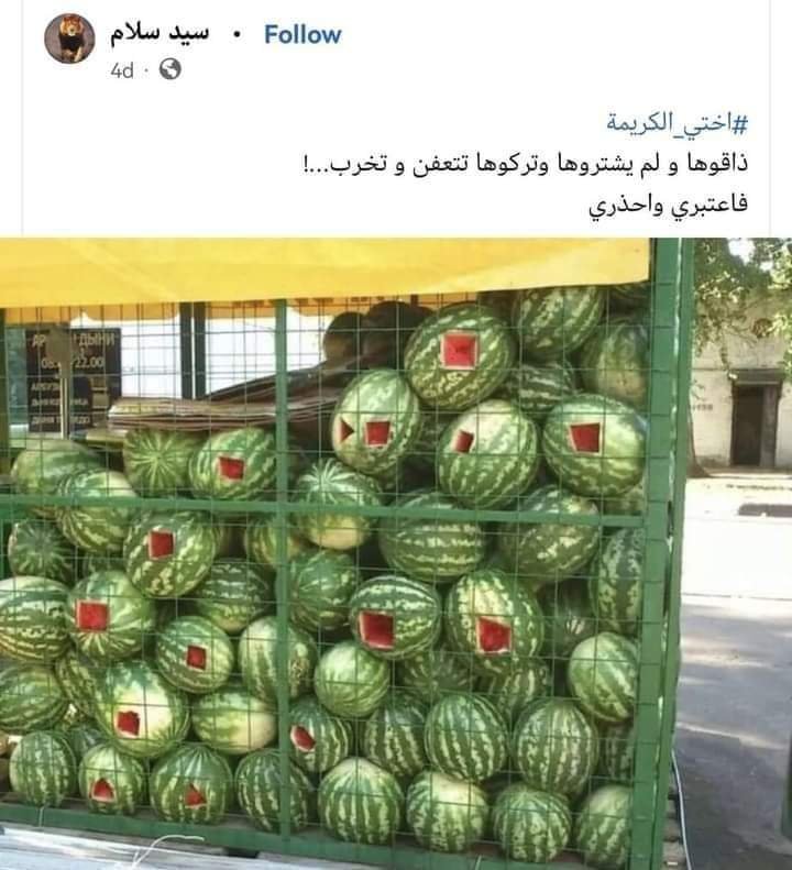 Mekha30's tweet photo. #ناكو_البطيخ https://t.co/AeG461a03P