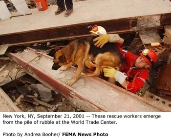JaniceJame6vjh's tweet photo. https://t.co/WfoSIRQCM2
#Meme #PawsofHonor #PawsofHonorMeme #Charity #Website #Pets #Dogs #Animals #K9 #K9s #Handlers #K9Handlers #Military #Police #LawEnforcement #Cops #Vet #Vets #Veterinarian #Veterinarians #DVM #DVMs https://t.co/MykBigF2Bd