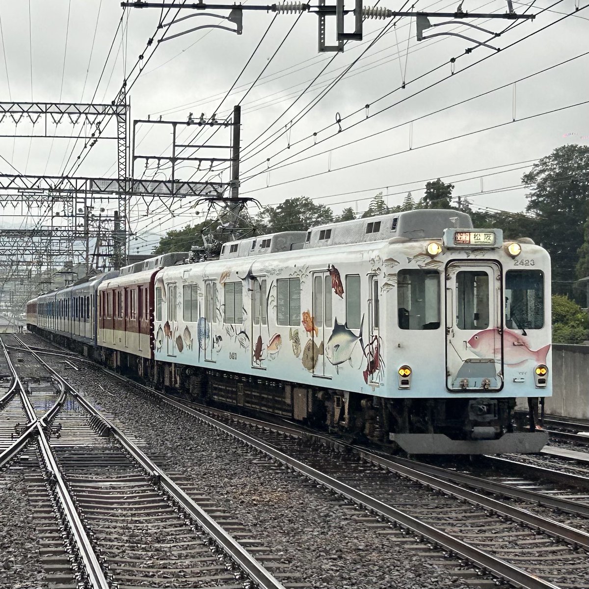 1259K_train's tweet photo. 近鉄大阪線 #近鉄運用 
←大阪上本町
・快急松阪8823レ W17+1A01+W23🐟
    ※W17は名張止め
・特急賢島6903レ AF01
・区急大阪上本町6926レ VW45+AG33 https://t.co/1a8cp1EqdI