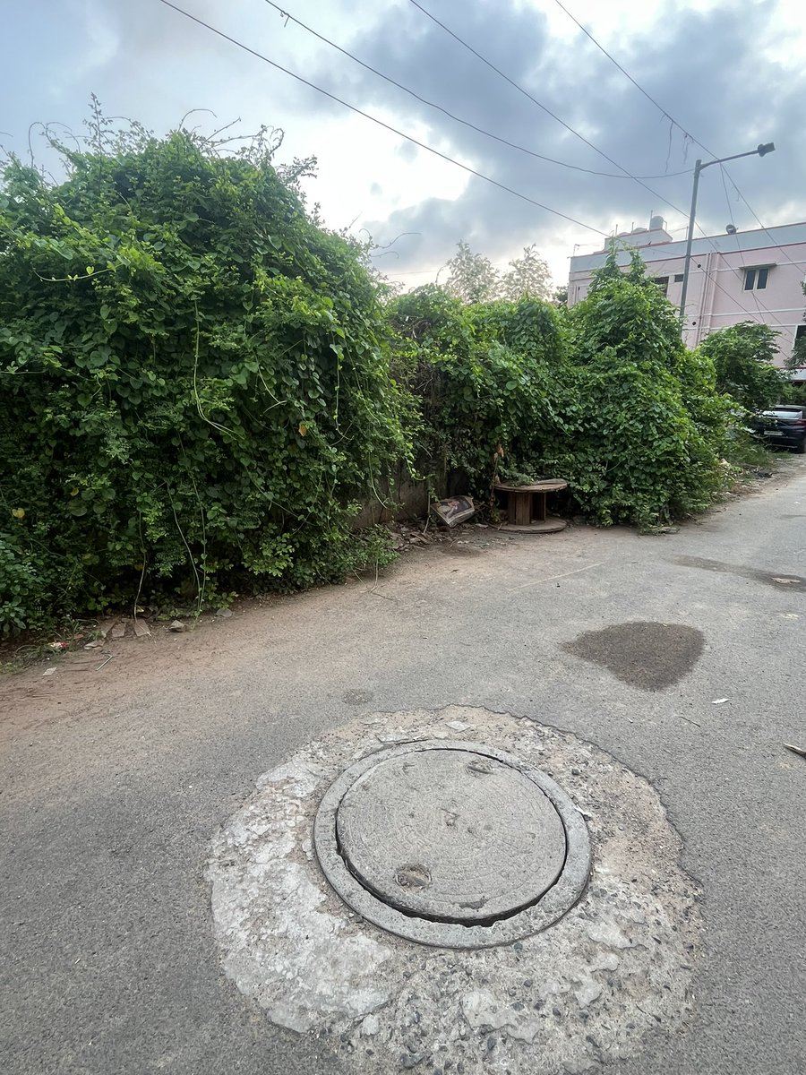 jude0887's tweet photo. @chennaicorp zoned 11 ward 154 anandham nagar 4th street ramapuram behind assisi school inspite of repeated complaints no action taken @CMOTamilnadu @rhevanth95 u cane to get votes sir but no support from u. Requested to cut bush of trees https://t.co/GfrTokWgGy