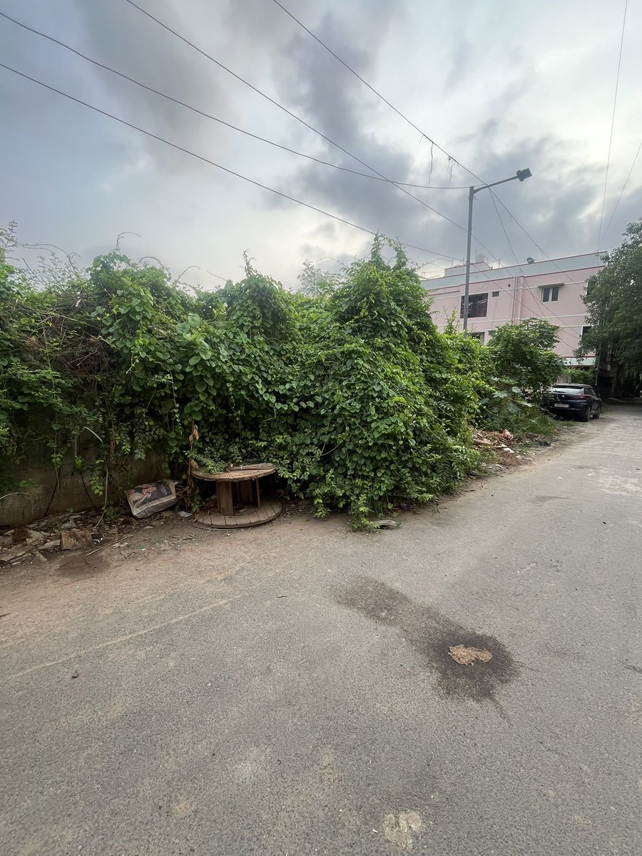 jude0887's tweet photo. @chennaicorp zoned 11 ward 154 anandham nagar 4th street ramapuram behind assisi school inspite of repeated complaints no action taken @CMOTamilnadu @rhevanth95 u cane to get votes sir but no support from u. Requested to cut bush of trees https://t.co/GfrTokWgGy