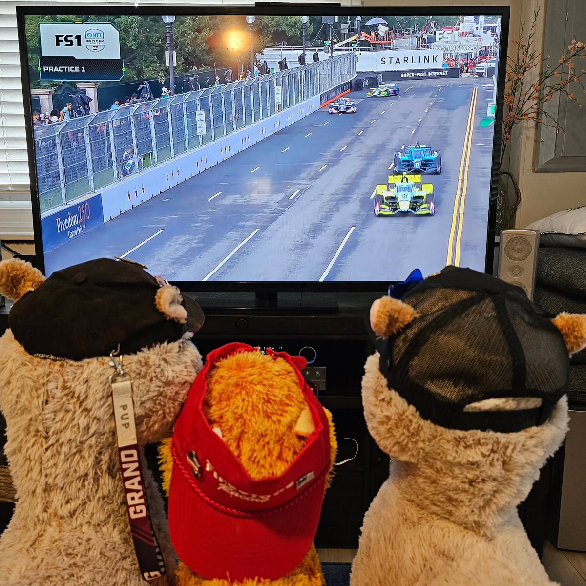 ZettaValrie's tweet photo. Practice is underway in our nation’s capital! The TrackSideLlamas are at Llama HQ as INDYCAR hits the streets of Washington, D. C. for the Freedom 250. Tags, Fire and Waffle are locked in—Waffle has the cold brew ready. Who figures out D. C. first? https://t.co/ovpHKdDUi7