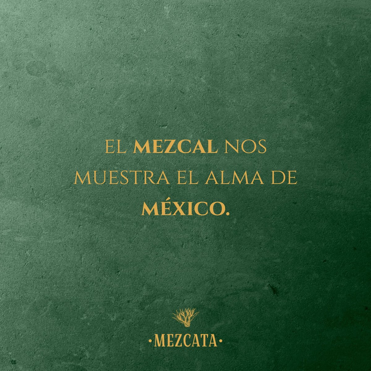 MezcataMx's tweet photo. Hoy no se bebe cualquier cosa: hoy se celebra a M��xico con mezcal. 🇲🇽🌵

Desliza el carrusel, elige tu frase patria favorita y cuéntanos: ¿con quién estás brindando esta noche? 👇🔥

#15DeSeptiembre #VivaMexico #Mezcata #VivaElMezcal #OrgulloMexicano #FiestasPatrias https://t.co/vELpBqID7S