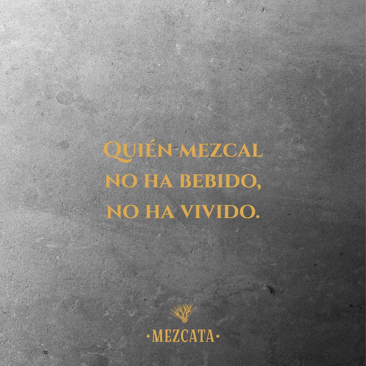 MezcataMx's tweet photo. Hoy no se bebe cualquier cosa: hoy se celebra a M��xico con mezcal. 🇲🇽🌵

Desliza el carrusel, elige tu frase patria favorita y cuéntanos: ¿con quién estás brindando esta noche? 👇🔥

#15DeSeptiembre #VivaMexico #Mezcata #VivaElMezcal #OrgulloMexicano #FiestasPatrias https://t.co/vELpBqID7S
