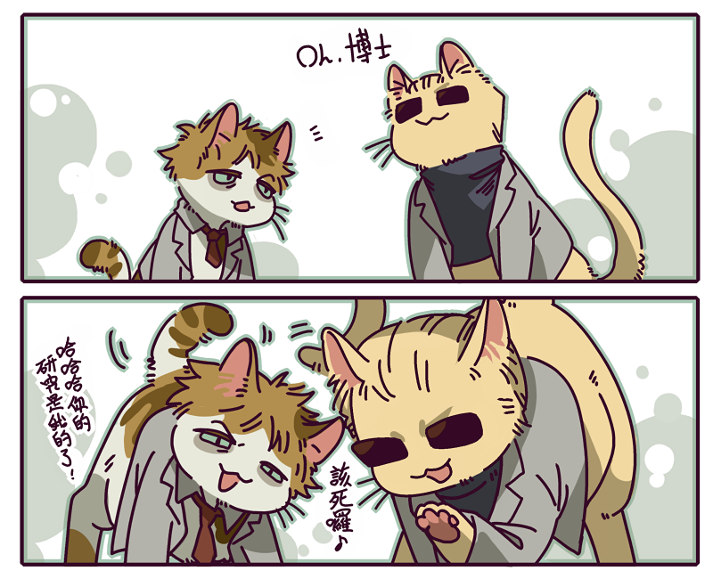 LVGpZtoeTP4nBHa's tweet photo. 【BIO零】馬庫斯博士的橘貓晚安服務，小貓學長學弟這麼可愛，博士艷福不淺！ https://t.co/1y5CZft3Gt