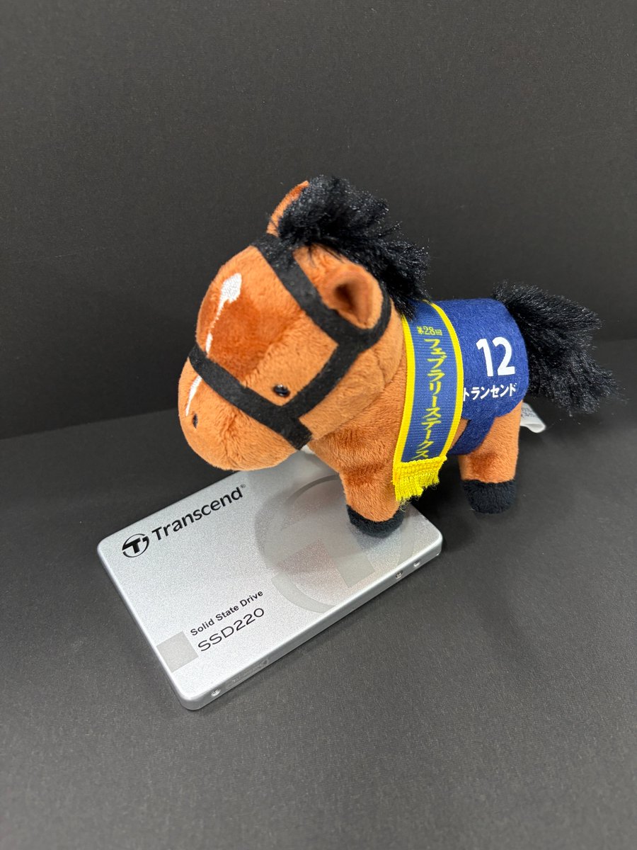Transcend_Japan's tweet photo. 今日は #競馬の日
かつて「トランセンド」という馬がいました。
弊社とは別物ですが、同じ名前のご縁です。  
#ありがとらんせんどです https://t.co/5dBJAj1jyG