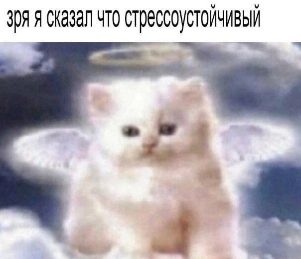 trmdllxn's tweet photo. приплыли… https://t.co/JMAgUGVfwA