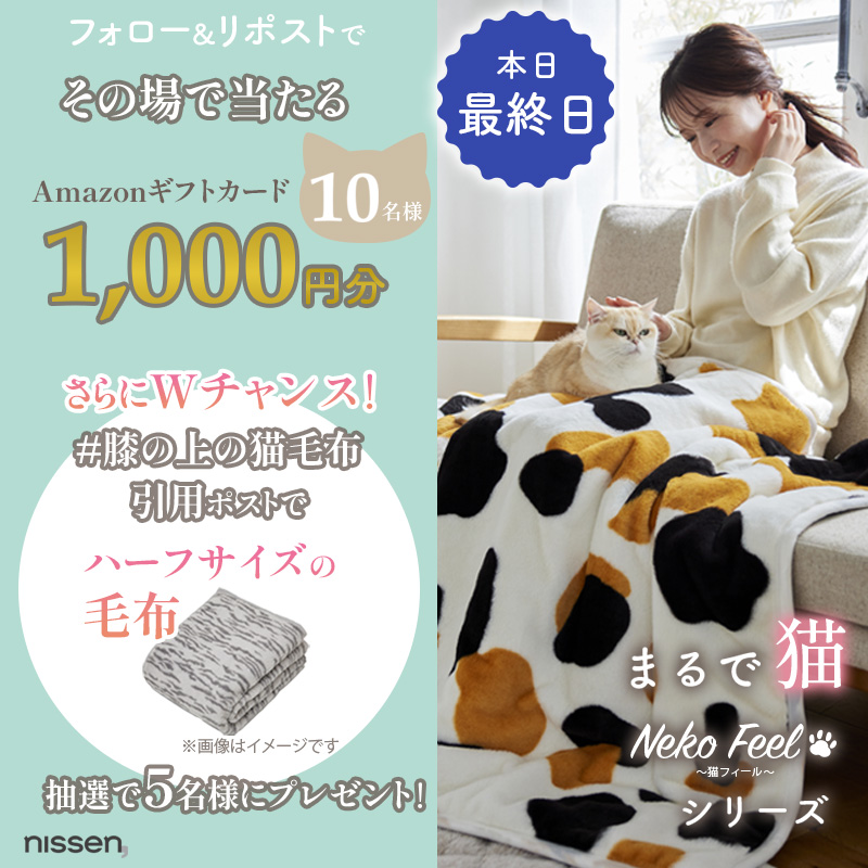 nissen's tweet photo. 猫feel新作キャンペーン｜最終日
抽選でAmazonギフトカードプレゼント

①本アカウントをフォロー
②この投稿をRP（10/3 23:59まで）
③当選したら即DM

猫の好きなところ、語ってください

Wチャンス！
「膝の上の猫毛布」つきの引用ポストで
猫feelのハーフサイズ毛布が当たる☆
当選→後日DM