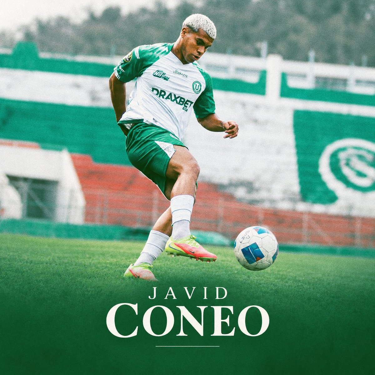 InfoldupCom's tweet photo. Jugador de #LDUP a seguir mañana:
Javid Coneo. Colombiano de 22 años que llegó de forma silenciosa y hoy es clave en el equipo principal.

#TodoVerde🟢 https://t.co/ornR3opaQv
