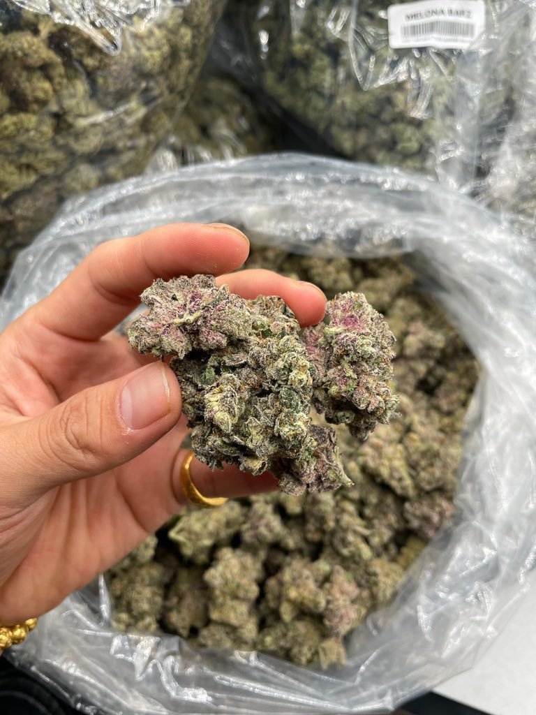 cosmo_phil57216's tweet photo. Up and ready ๐ฅ
Iโm delivering disposable carts in Atl
Tap in
#atlweed #atlvape #carts #Atlanta https://t.co/4JfDbBnI4K