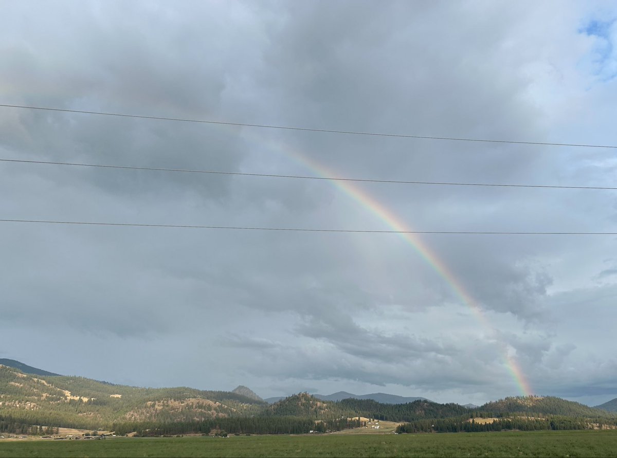 LadyNoirCreator's tweet photo. Rainbows 🌈 https://t.co/Etf7DVBSvR