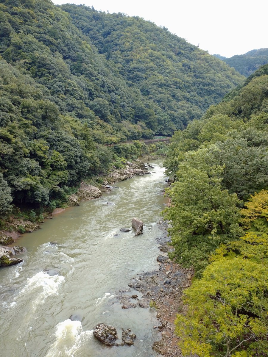 22896i's tweet photo. 保津峡でﾎﾂﾞﾎﾂﾞ https://t.co/gaNIlgvgZw