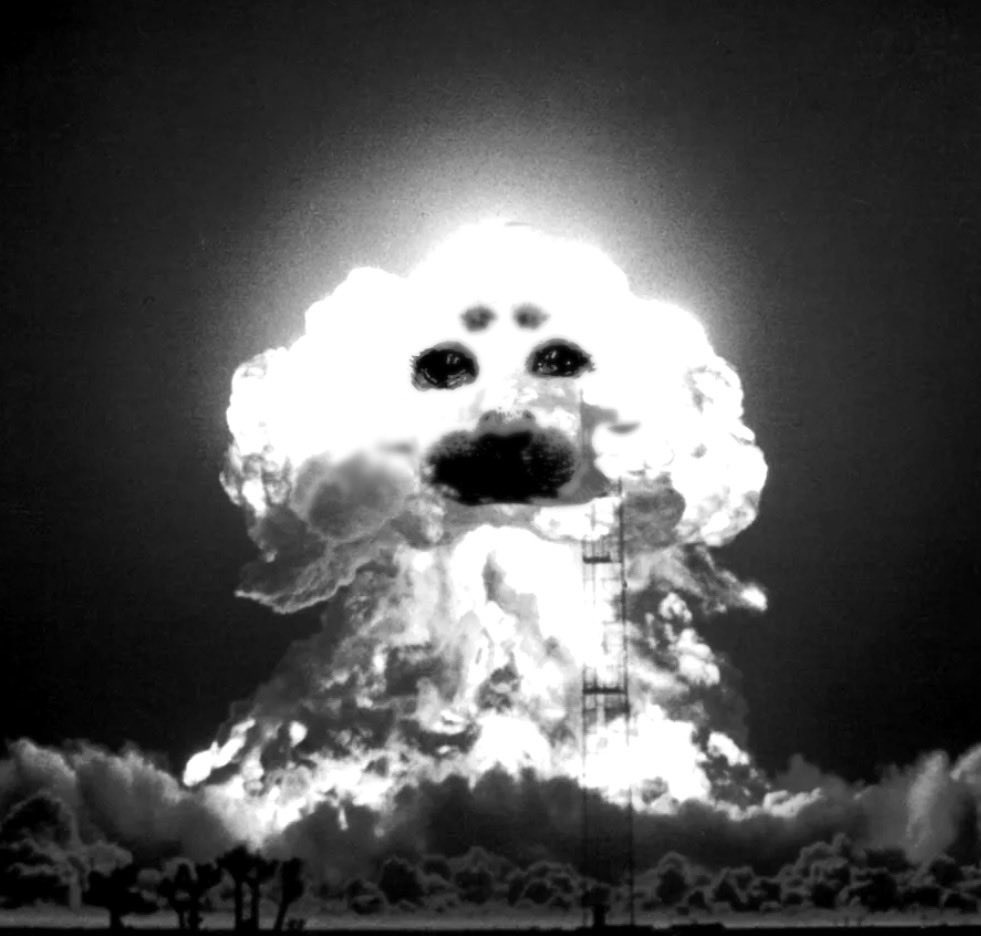 Er1cym's tweet photo. oh no. they.. blew Niko up.. https://t.co/xH8bwu04Jz