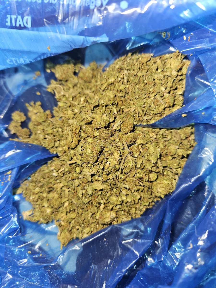 JTSTONERS's tweet photo. Dealer gave me pre-ground weed

#420twt #weedtwt #drugtwt #bong #BongRips #BunnyBongRips #smokingtwt #toketwitter https://t.co/3Z2EN0cL3H