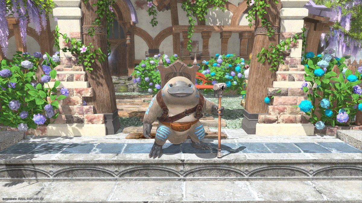 Lunablue_Sap's tweet photo. 誕生日プレゼントもらったぁ🎁(⁠*⁠´⁠ω⁠｀⁠*⁠)
カモノハシかわい��(　·Θ·　)♥
#FF14 #FF14SS #Midlander #ミドメス https://t.co/CPsqLmzJW5