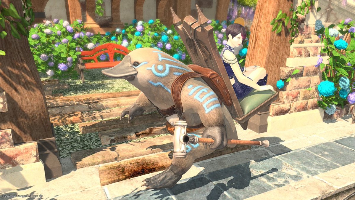 Lunablue_Sap's tweet photo. 誕生日プレゼントもらったぁ🎁(⁠*⁠´⁠ω⁠｀⁠*⁠)
カモノハシかわい��(　·Θ·　)♥
#FF14 #FF14SS #Midlander #ミドメス https://t.co/CPsqLmzJW5